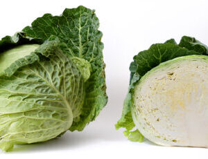 FRESH CABBAGES