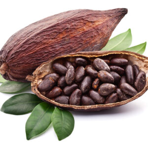 Sun-dried Cocoa Beans